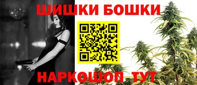 стафф Лесосибирск